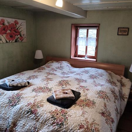 Oekologische Ferienwohnung Becker Kottmar Exteriör bild