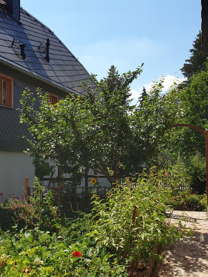 Oekologische Ferienwohnung Becker Kottmar Exteriör bild